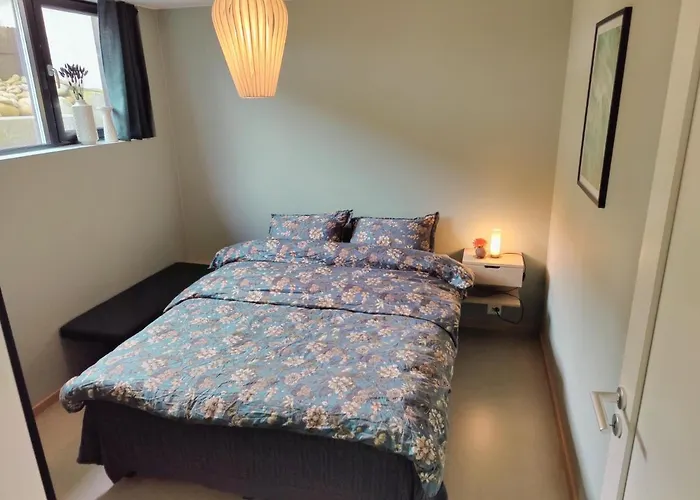 Modern And Comfortable Apartment In Attractive Neighborhood