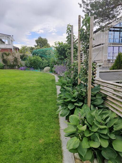 Modern And Comfortable In Attractive Neighborhood Appartement *