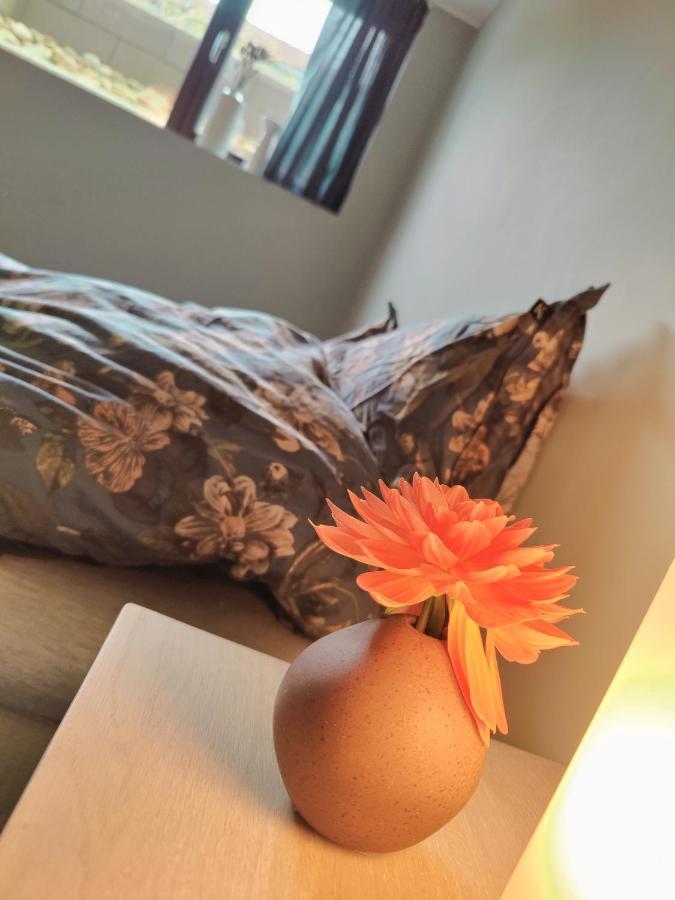 Appartement Modern And Comfortable In Attractive Neighborhood